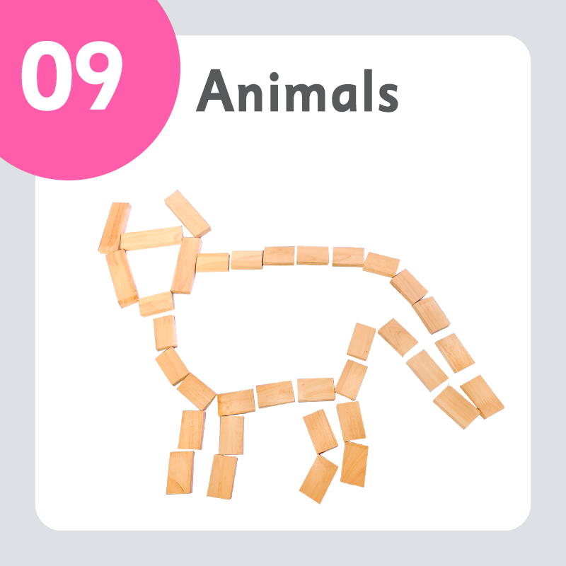 Animals